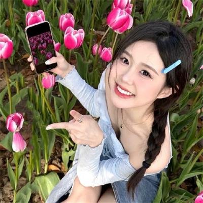 破碎太阳之心